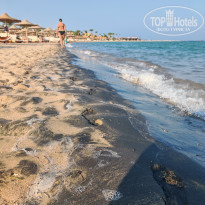 фото из отзыва ID 2743096