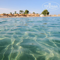 фото из отзыва ID 2743096