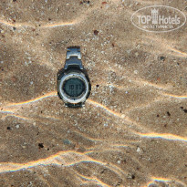 фото из отзыва ID 2743096