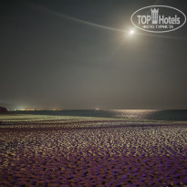 фото из отзыва ID 2743096