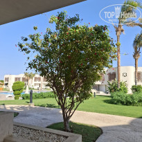 фото из отзыва ID 2743087