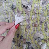 фото из отзыва ID 2743087