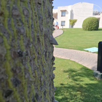 фото из отзыва ID 2743087