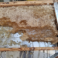 фото из отзыва ID 2743087