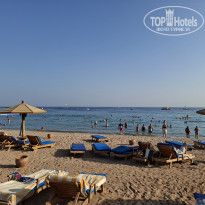 фото из отзыва ID 2743087