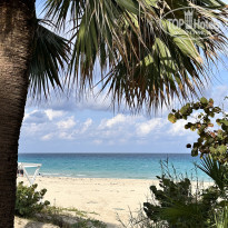 фото из отзыва ID 2743136