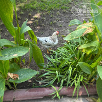 фото из отзыва ID 2743142