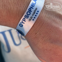 фото из отзыва ID 2743142