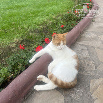 фото из отзыва ID 2743142