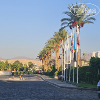 фото из отзыва ID 2743143