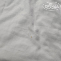 фото из отзыва ID 2743153