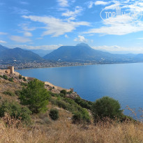 фото из отзыва ID 2742988