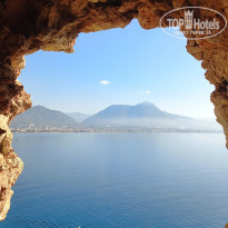 фото из отзыва ID 2742988