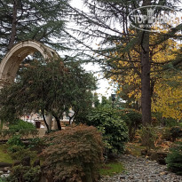 фото из отзыва ID 2743167