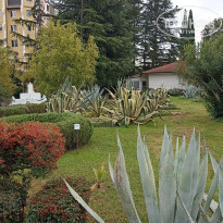 фото из отзыва ID 2743167