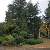 фото из отзыва ID 2743167