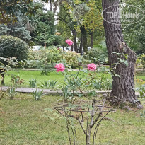 фото из отзыва ID 2743167