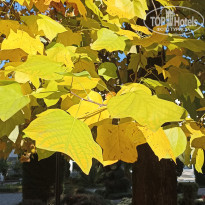 фото из отзыва ID 2743167