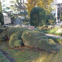 фото из отзыва ID 2743167