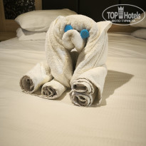 фото из отзыва ID 2743174