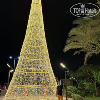 фото из отзыва ID 2743174