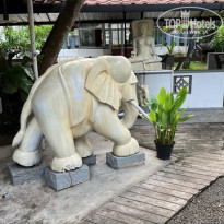 фото из отзыва ID 2743171