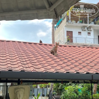 фото из отзыва ID 2743171