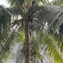 фото из отзыва ID 2743171