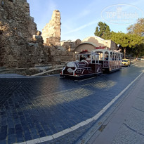 фото из отзыва ID 2743190