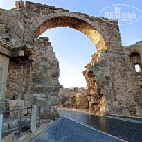 фото из отзыва ID 2743190