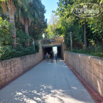 фото из отзыва ID 2743192