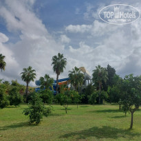 фото из отзыва ID 2743192