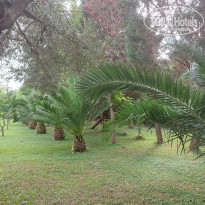 фото из отзыва ID 2743192