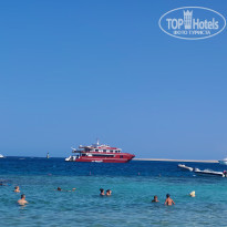 фото из отзыва ID 2743195