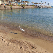 фото из отзыва ID 2743195