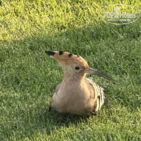 фото из отзыва ID 2743209