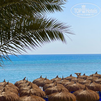 фото из отзыва ID 2743217