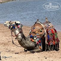 фото из отзыва ID 2743217