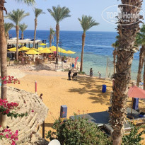 фото из отзыва ID 2743221