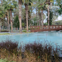 фото из отзыва ID 2743223