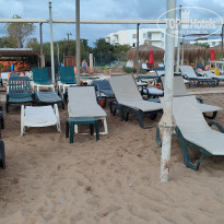 фото из отзыва ID 2743223