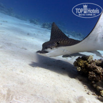 фото из отзыва ID 2741655