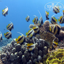 фото из отзыва ID 2741655