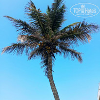 фото из отзыва ID 2743233