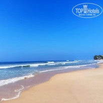 фото из отзыва ID 2743233