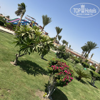 фото из отзыва ID 2743251