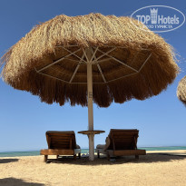 фото из отзыва ID 2743251