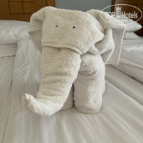 фото из отзыва ID 2743251