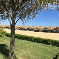 фото из отзыва ID 2743251