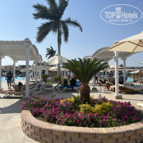 фото из отзыва ID 2743251